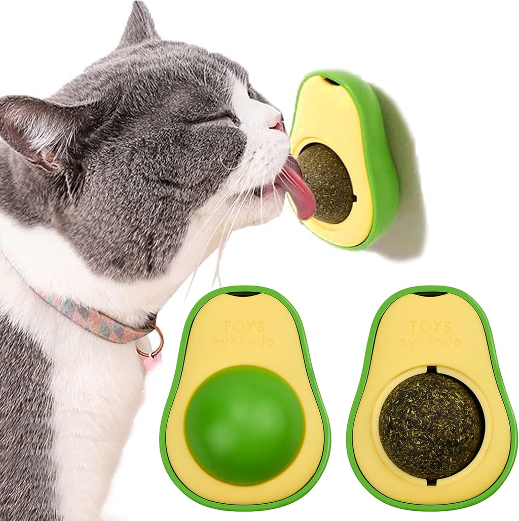 palta cat nip